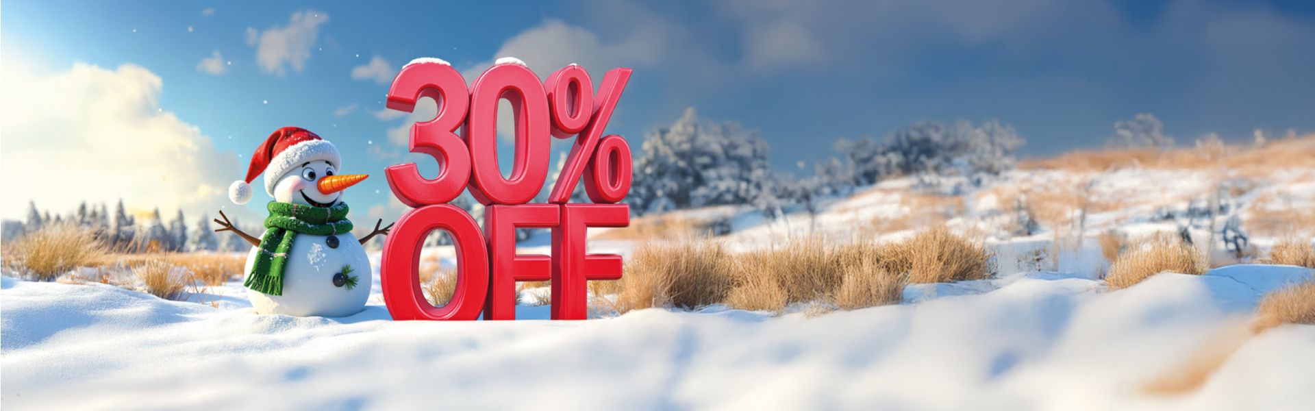 30% OFF Christmas Clearance