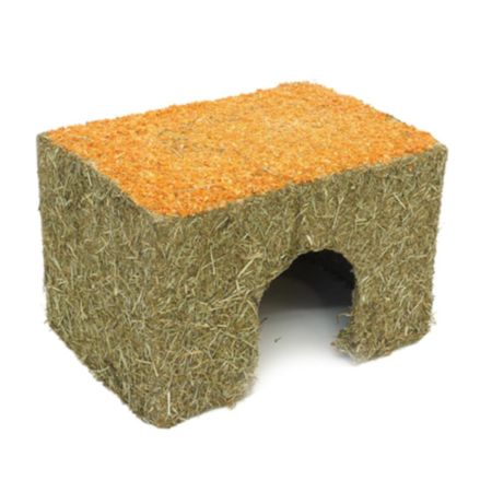 Carrot Cottage Den for Small Pets - Medium