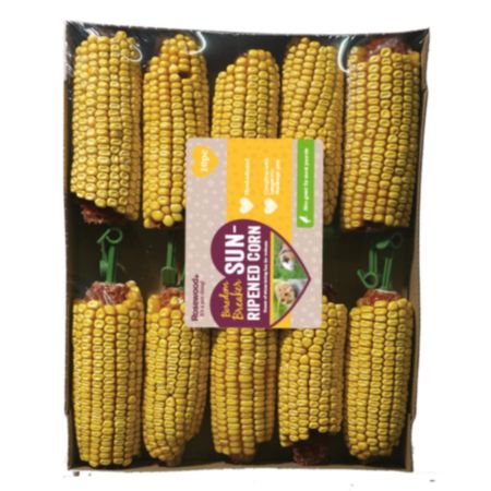 Corn on the Cob Small Pet Food (10 Pack)