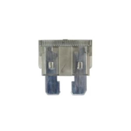 Standard Blade Fuse 2A 10 Piece