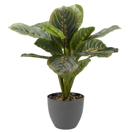 Artificial Prayer Plant