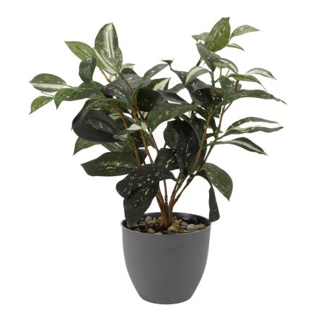 Japanese Laurel Artificial Plant