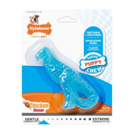 Nylabone® Chicken Puppy Dinosaur Chew - Small (11kg)