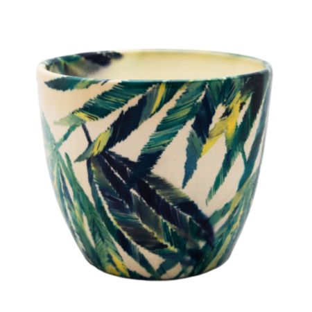 Ivyline Monza Botanical Fern Planter 13cm