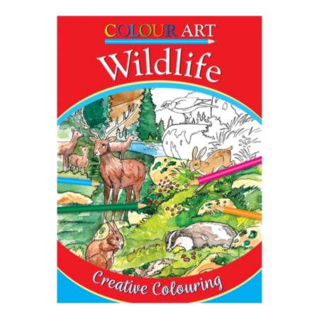 Colour Art Book - Wildlife