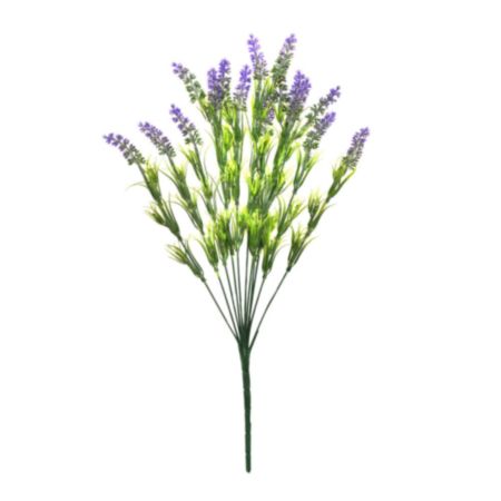 55cm Lavender x 11 Bush