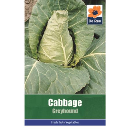 De Ree Cabbage Greyhound Seeds