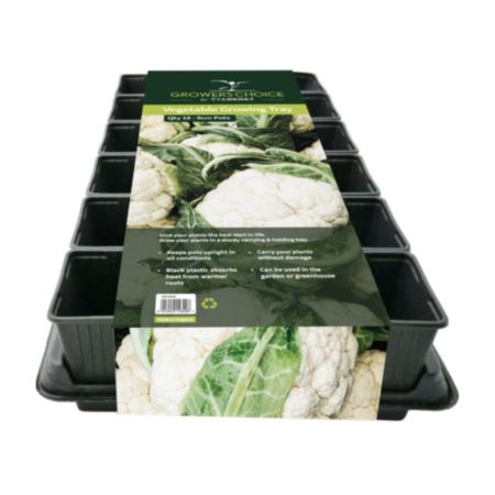 Vegetable Growing Tray 18x9cm Veg Pots & Tray