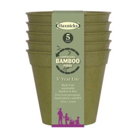 6" Bamboo Pot - 5 Pack - Sage Green
