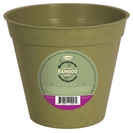 8" Bamboo Pot Single Sage Green