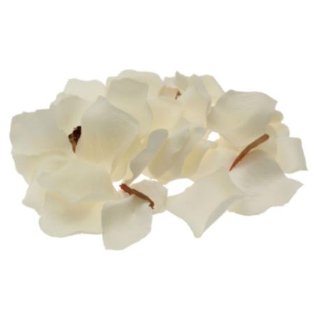 Cream Rose Petals (150 Pieces)