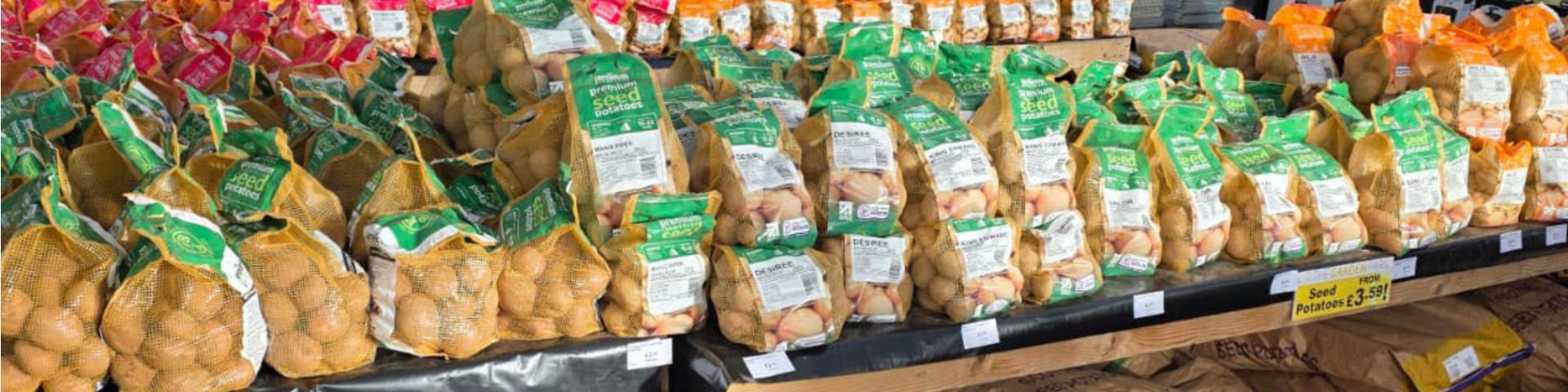 Seed Potatoes in January: What to Plant, When to Plant and Why Buying Early Matters
