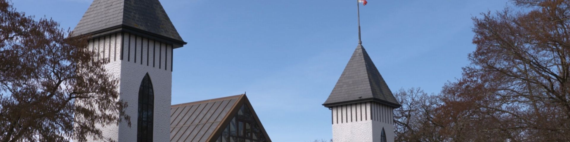 Trago Mills is Here to Stay 