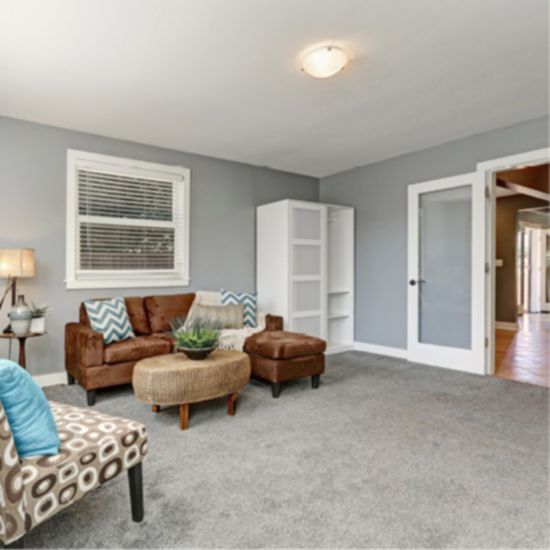 Exceptional Carpet Value and a Last-Chance Opportunity