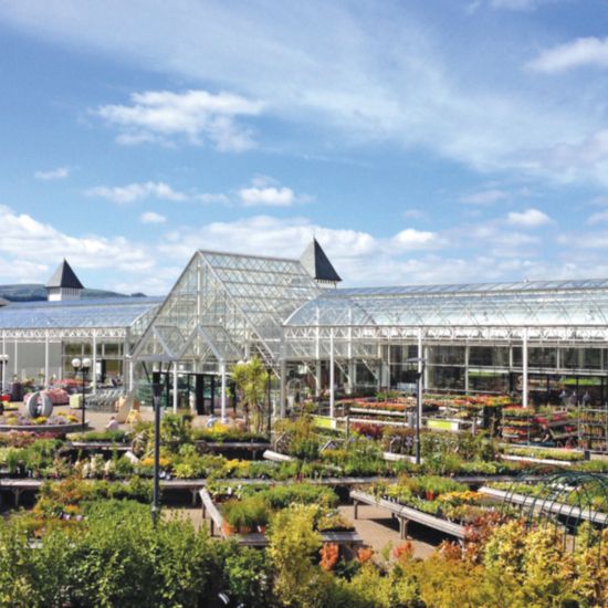 Updates regarding the Consultations at Trago