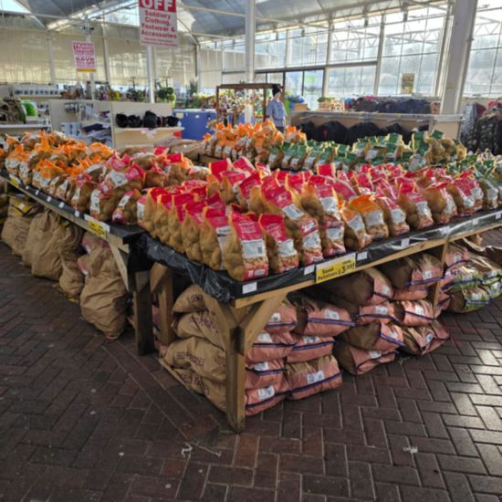 Seed Potatoes in January: What to Plant, When to Plant and Why Buying Early Matters