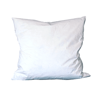 Duck Feather Cushion Pad 20”